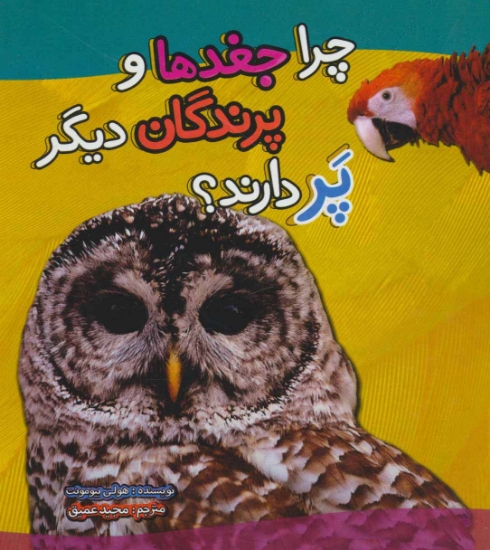 تصویر  چرا جغدها و پرندگان دیگر پر دارند (گلاسه)