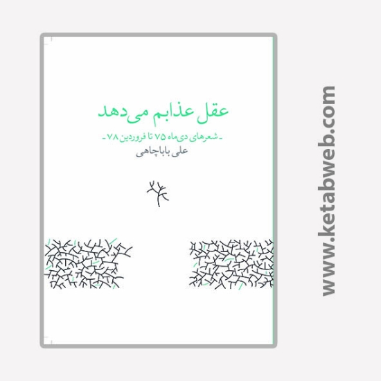 تصویر  کتاب عقل عذابم می دهد