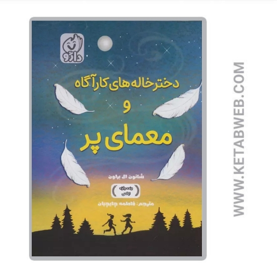 تصویر  کتاب دخترخاله های کارآگاه و معمای پر