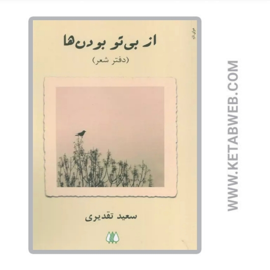 تصویر  کتاب از بی تو بودن ها