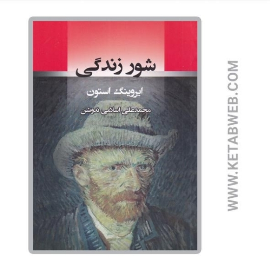 تصویر  کتاب شور زندگی