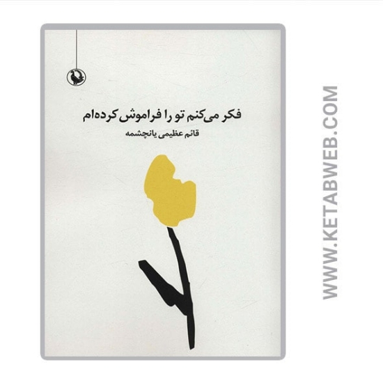 تصویر  کتاب فکر می کنم تو را فراموش کرده ام (مجموعه شعر سپید)