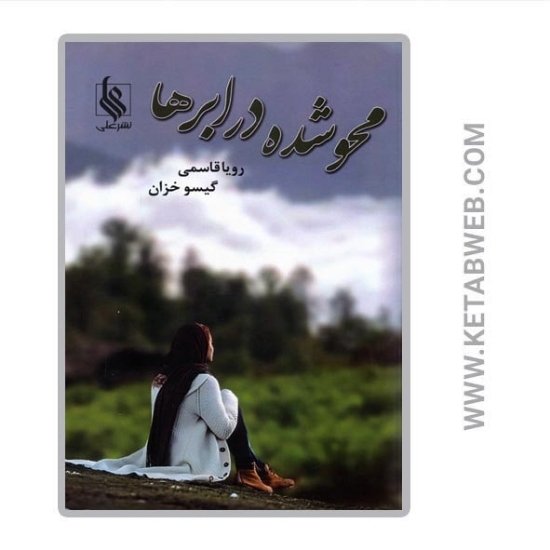 تصویر  کتاب محو شده در ابرها