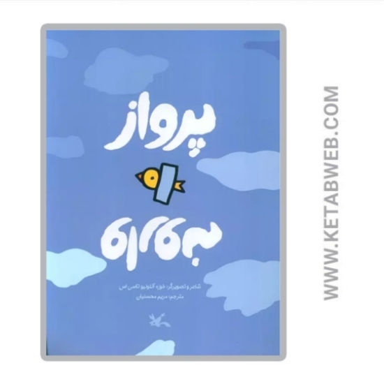 تصویر  کتاب پرواز وارونه