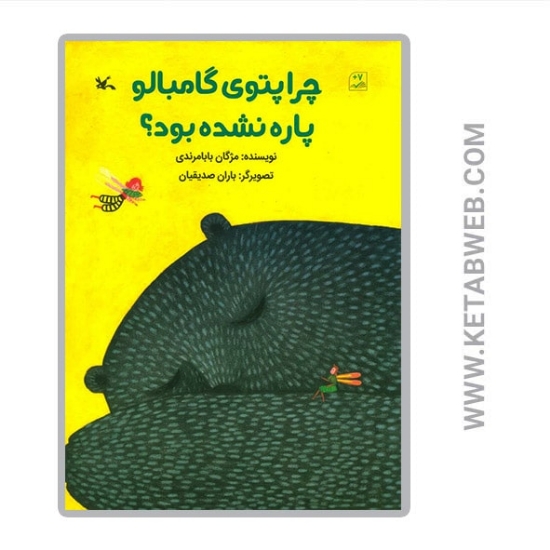 تصویر  کتاب چرا پتوی گامبالو پاره نشده بود