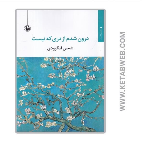 تصویر  کتاب درون شدم از دری که نیست