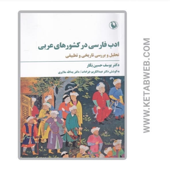 تصویر  کتاب ادب فارسی در کشورهای عربی (تحلیل و بررسی تاریخی و تطبیقی)