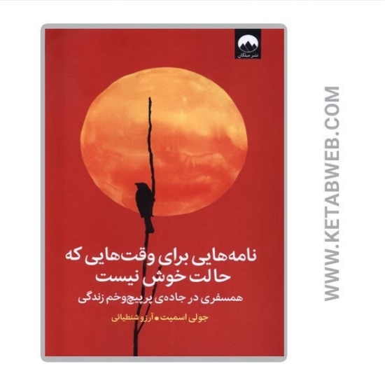 تصویر  کتاب نامه هایی برای وقت هایی که حالت خوش نیست (همسفری در جاده پر پیچ و خم زندگی)