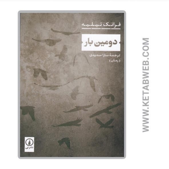 تصویر  کتاب دومین بار