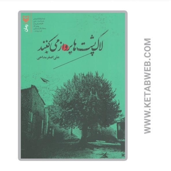 تصویر  کتاب لاک پشت ها پرواز می کنند