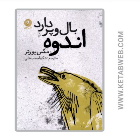 تصویر  کتاب اندوه بال و پر دارد