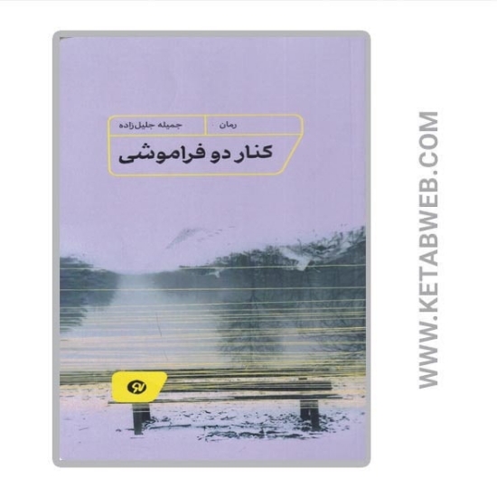 تصویر  کتاب کنار دو فراموشی