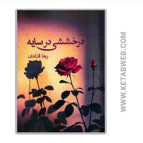 تصویر  کتاب درخششی در سایه