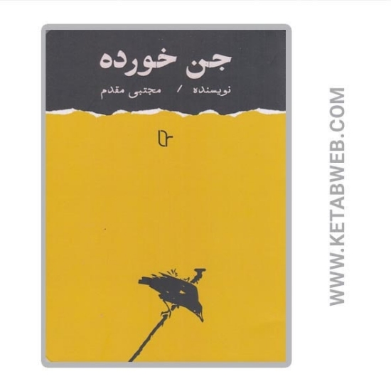 تصویر  کتاب جن خورده