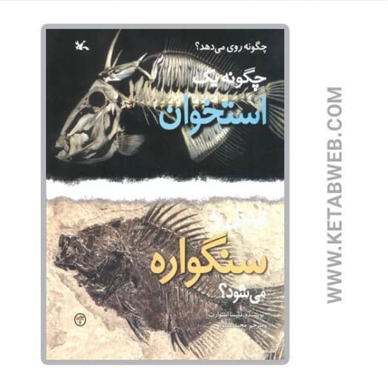 تصویر  کتاب چگونه یک استخوان تبدیل به سنگواره می شود