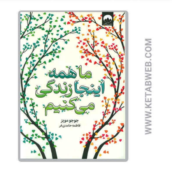 تصویر  کتاب ما همه اینجا زندگی می کنیم