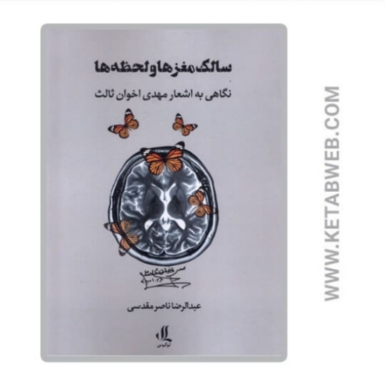 تصویر  کتاب سالک مغز ها و لحظه‌ ها