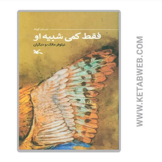 تصویر  کتاب فقط کمی شبیه او