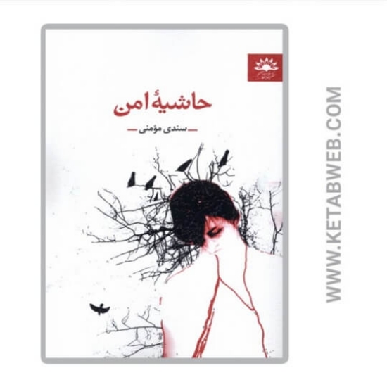 تصویر  کتاب حاشیه امن