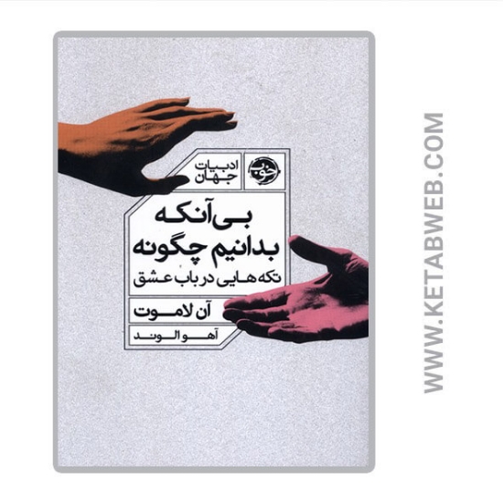 تصویر  کتاب بی آنکه بدانیم چگونه (تکه هایی در باب عشق)