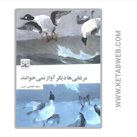 تصویر  کتاب مرغابی ها دیگر آواز نمی خوانند