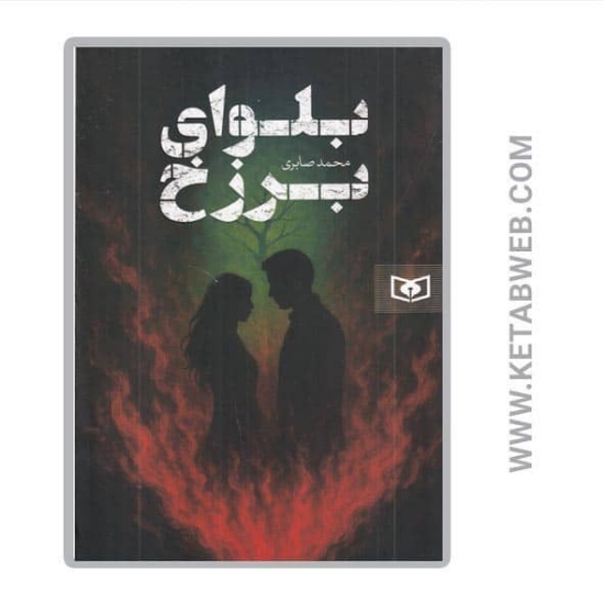 تصویر  کتاب بلوای برزخ