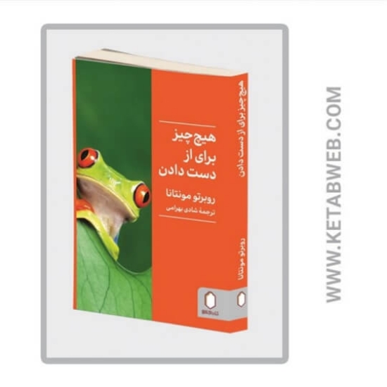 تصویر  کتاب هیچ‌ چیز برای از دست دادن