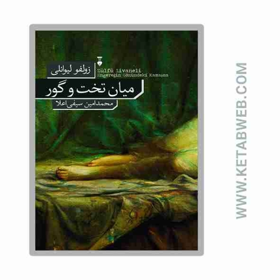 تصویر  کتاب میان تخت و گور