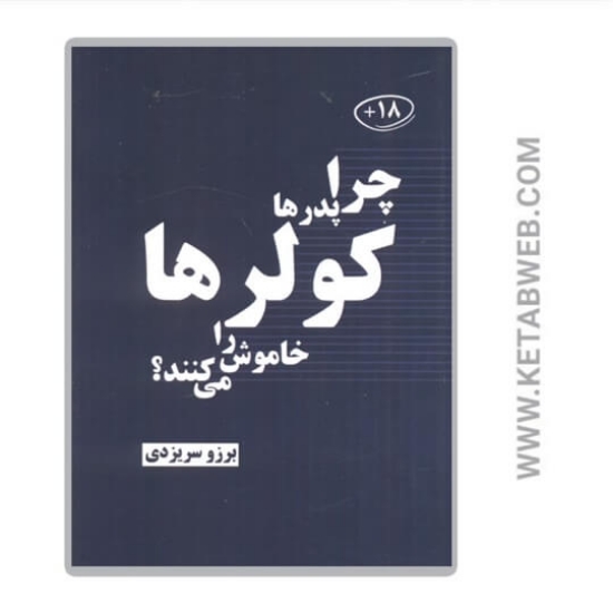 تصویر  کتاب چرا پدرها کولرها را خاموش می کنند؟