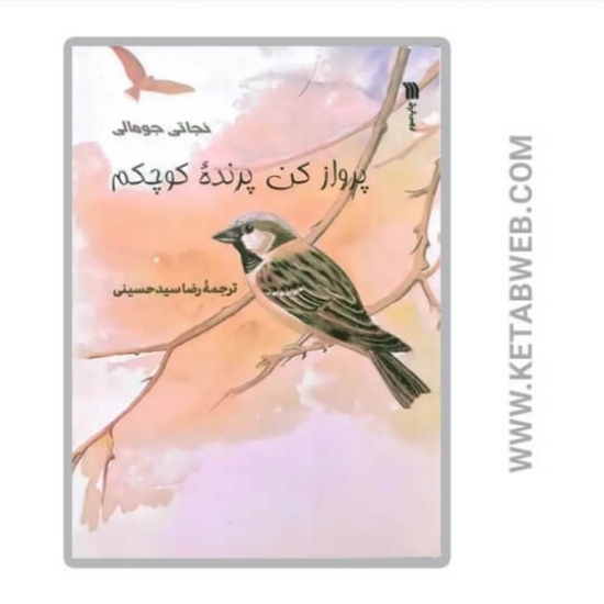 تصویر  کتاب پرواز کن پرنده کوچکم