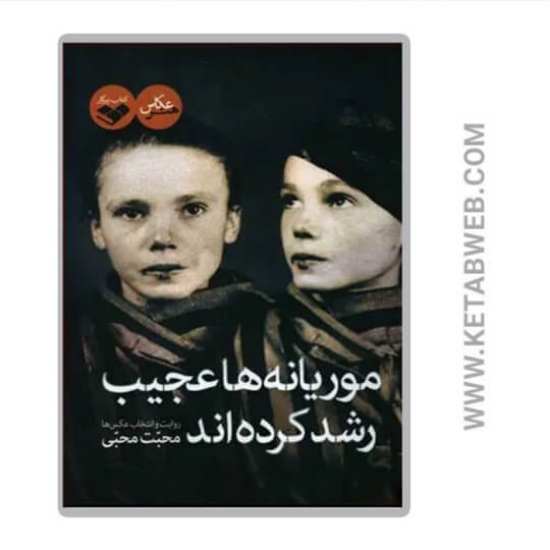 تصویر  کتاب موریانه ها عجیب رشد کرده اند (گلاسه)