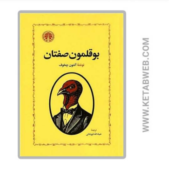 تصویر  کتاب بوقلمون صفتان