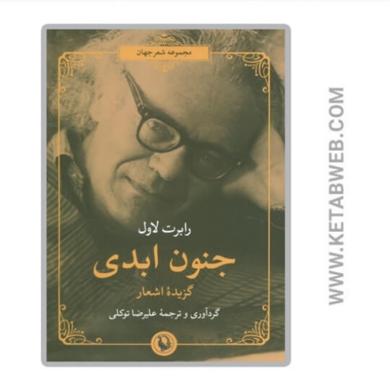 تصویر  کتاب جنون ابدی