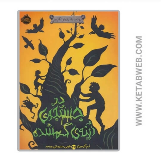 تصویر  کتاب در جستجوی آینه گمشده (دوباره با برادران گریم 2)