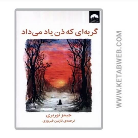 تصویر  کتاب گربه ای که ذن یاد می داد