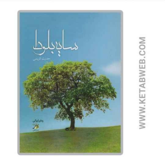 تصویر  کتاب سایه بلوط