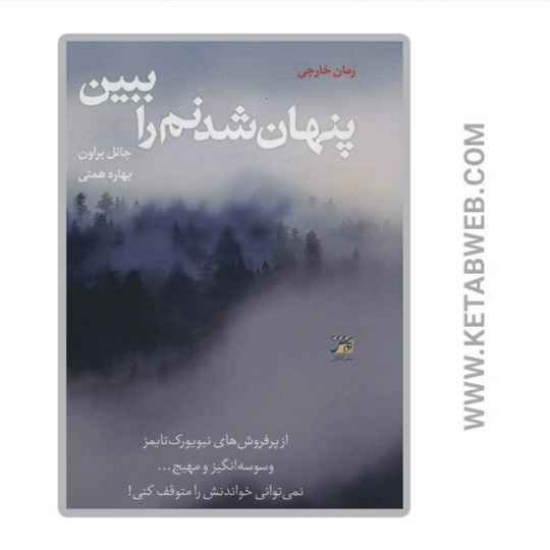 تصویر  کتاب پنهان شدنم را ببین