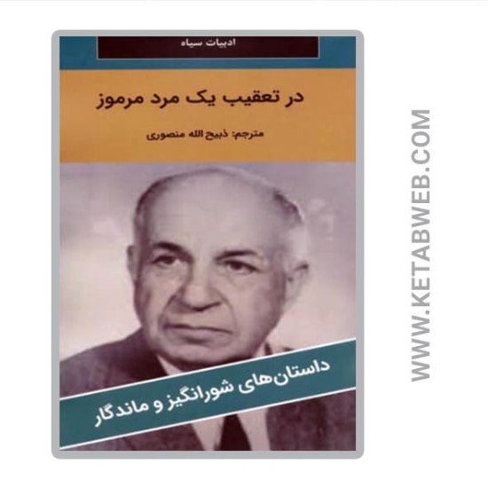 تصویر  کتاب در تعقیب یک مرد مرموز