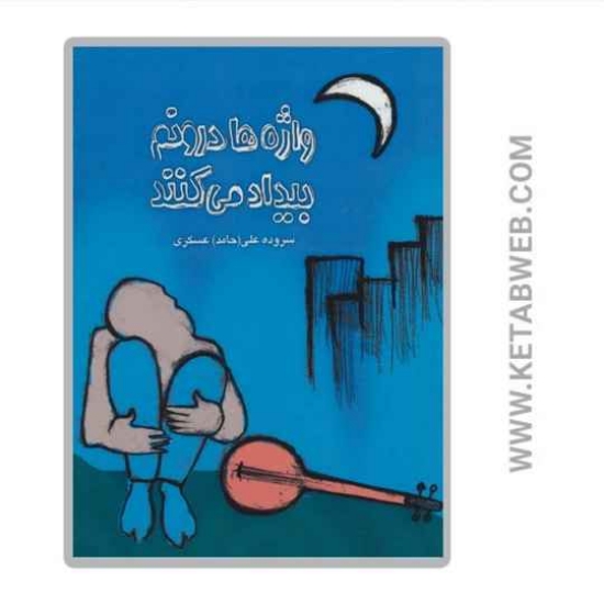 تصویر  کتاب واژه ها درونم بیداد می کنند