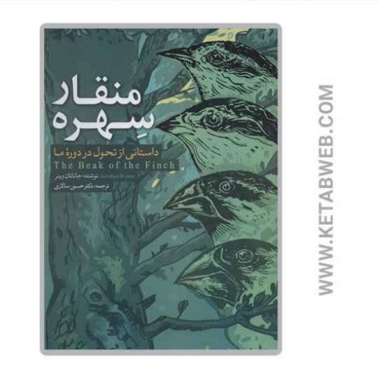 تصویر  کتاب منقار سهره